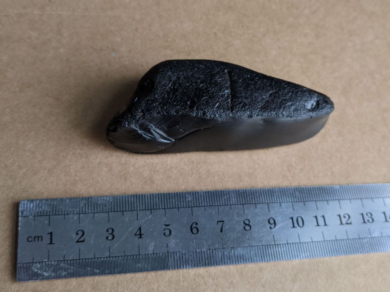 images/fossils/jet_01.jpg