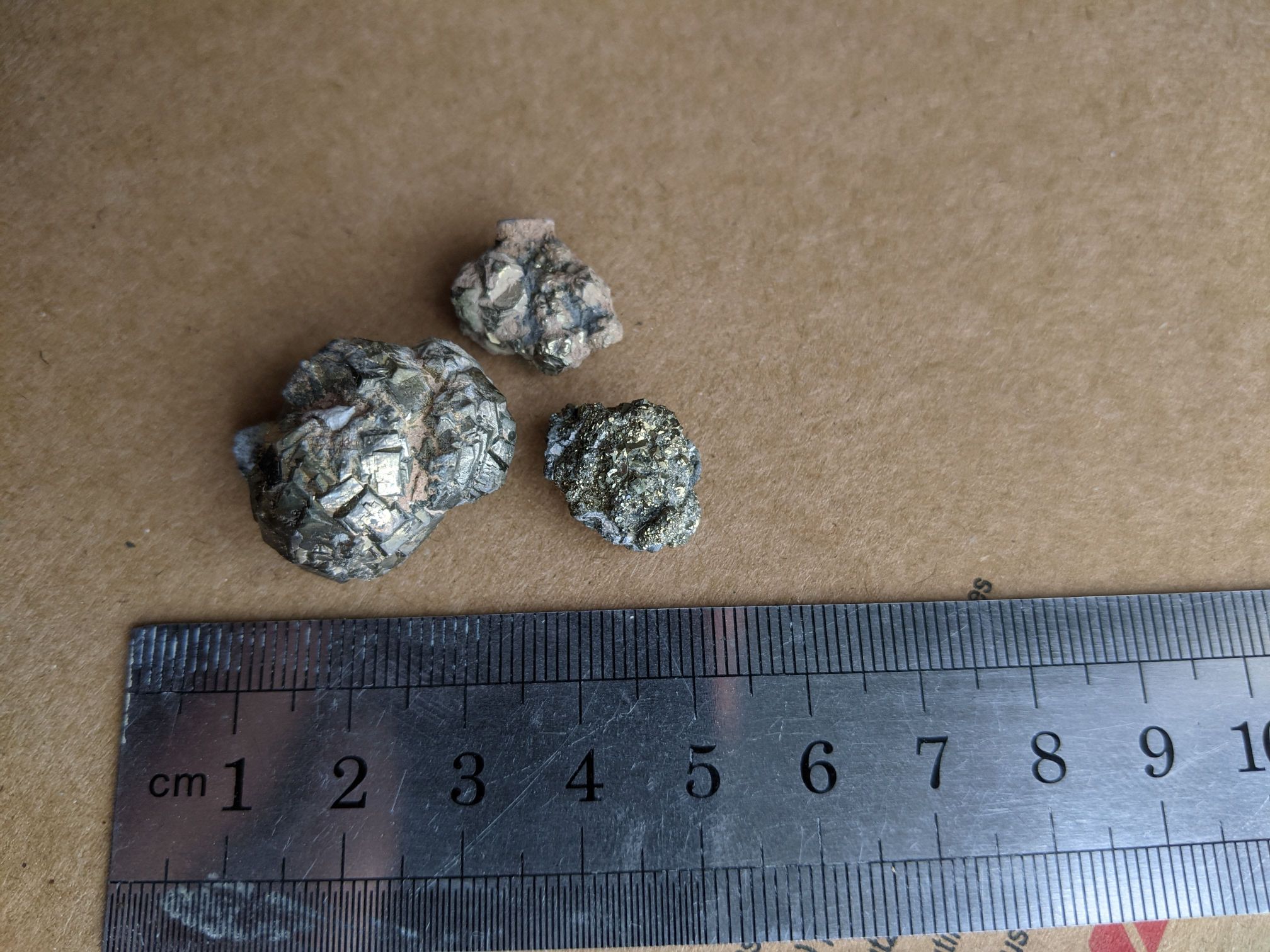 images/fossils/pyrite_02.jpg
